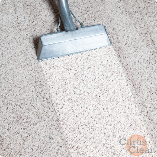 eco-friendly carpet cleaning in London